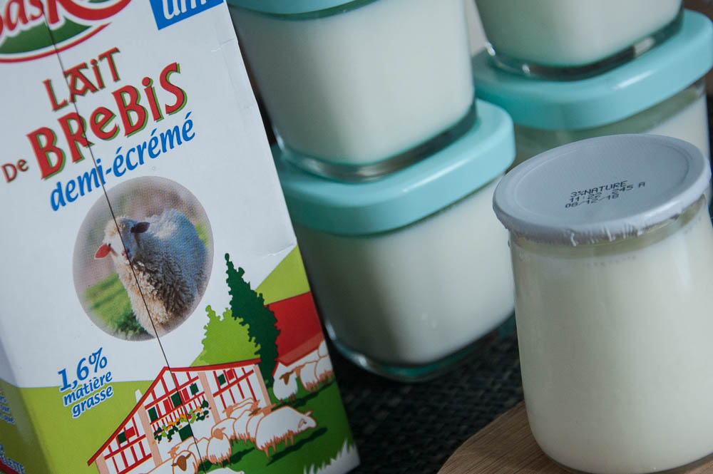 Yaourts maison au lait de brebis & vanille recette - healthyfood_creation